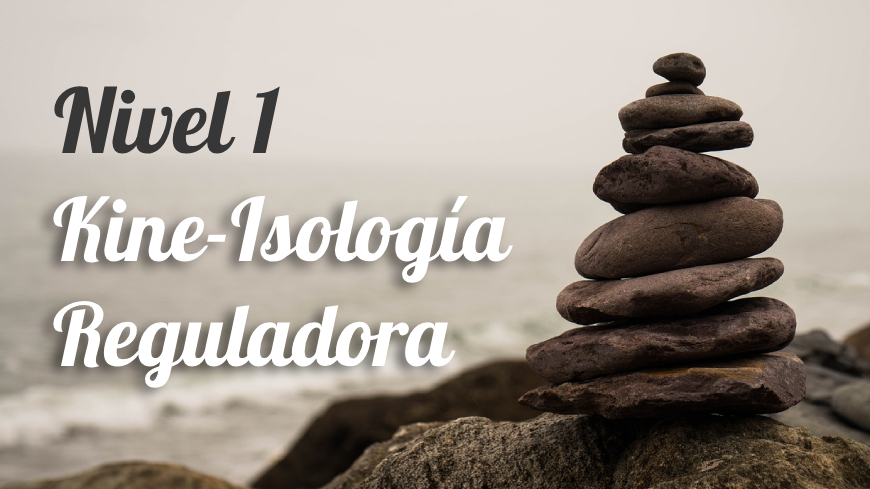Kineisología Reguladora – Nivel 1