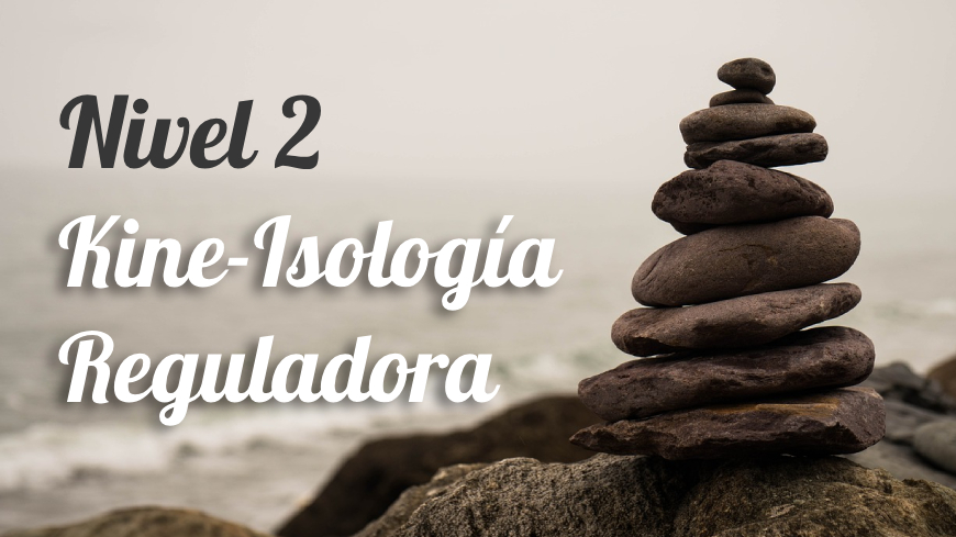 Kineisología Reguladora – Nivel 2