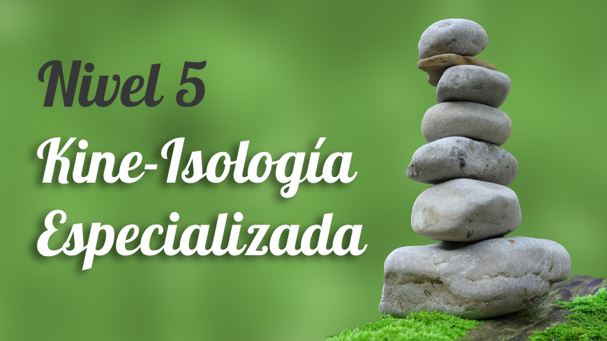 Kineisologia Especializada – Nivel 5