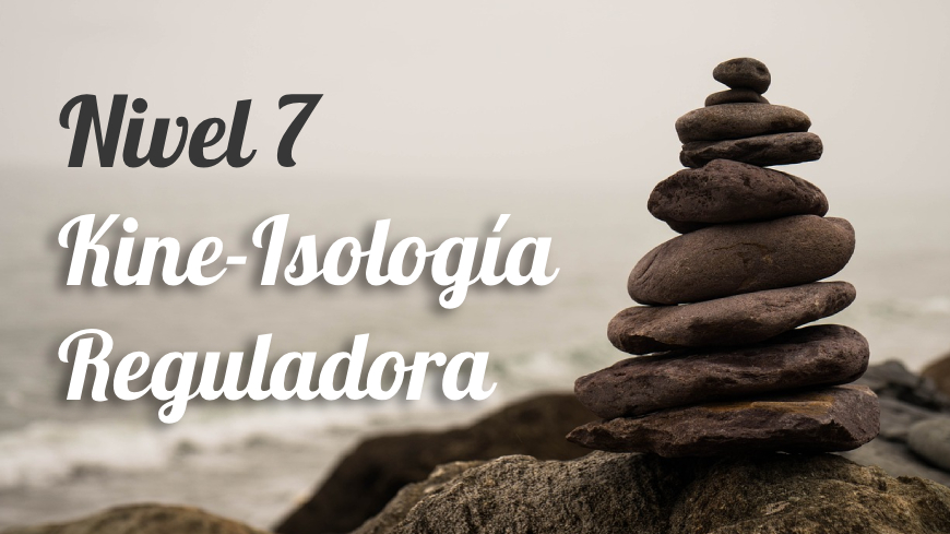 Kineisologia Reguladora – Nivel 7